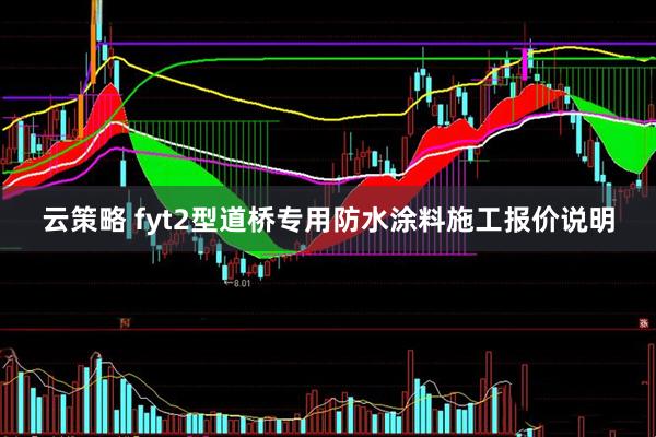 云策略 fyt2型道桥专用防水涂料施工报价说明