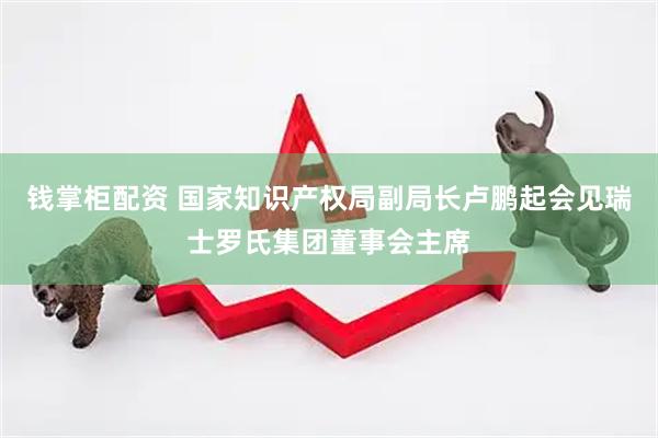 钱掌柜配资 国家知识产权局副局长卢鹏起会见瑞士罗氏集团董事会主席