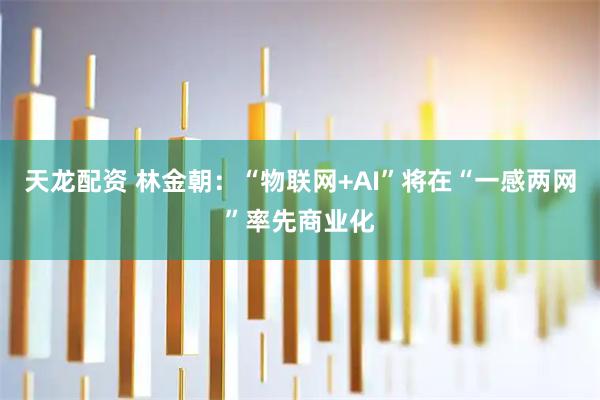 天龙配资 林金朝：“物联网+AI”将在“一感两网”率先商业化