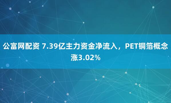 公富网配资 7.39亿主力资金净流入,PET铜箔概念涨3.02%