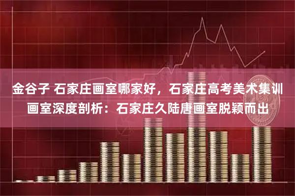 金谷子 石家庄画室哪家好，石家庄高考美术集训画室深度剖析：石家庄久陆唐画室脱颖而出