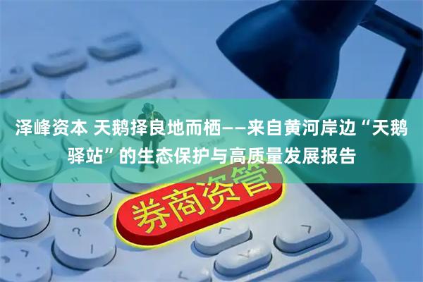 泽峰资本 天鹅择良地而栖——来自黄河岸边“天鹅驿站”的生态保护与高质量发展报告