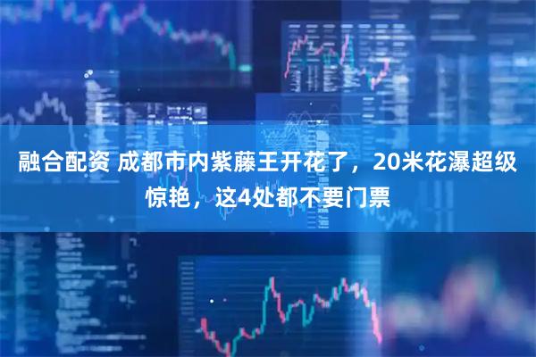 融合配资 成都市内紫藤王开花了，20米花瀑超级惊艳，这4处都不要门票
